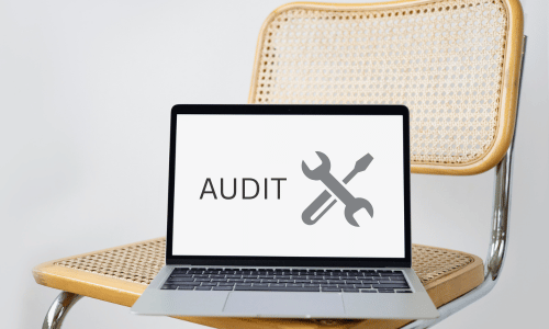 Website Audit